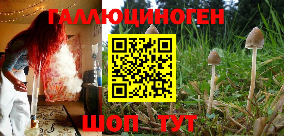 Ярославль  Галлюциногенные грибы мицелий  Галлюциногенные грибы Psilocybine cubensis  Вход с VPN 