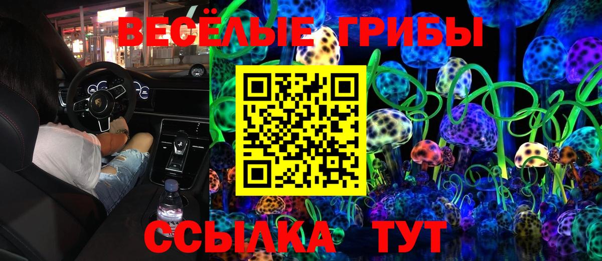 Псилоцибиновые грибы Magic Shrooms Ярославль